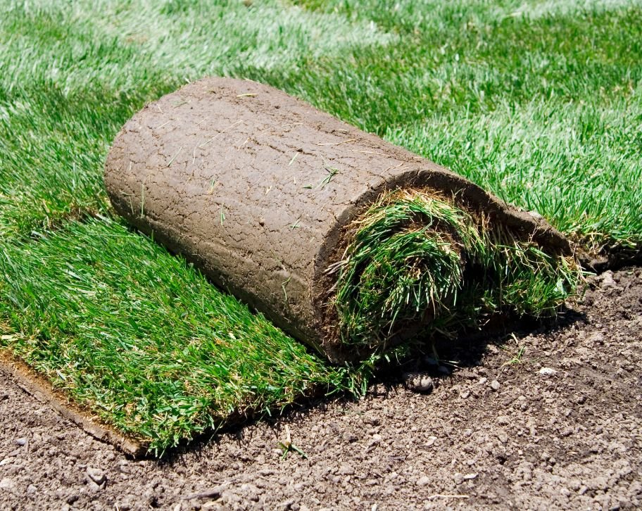Why You Should not Install Sod Over Existing Grass?