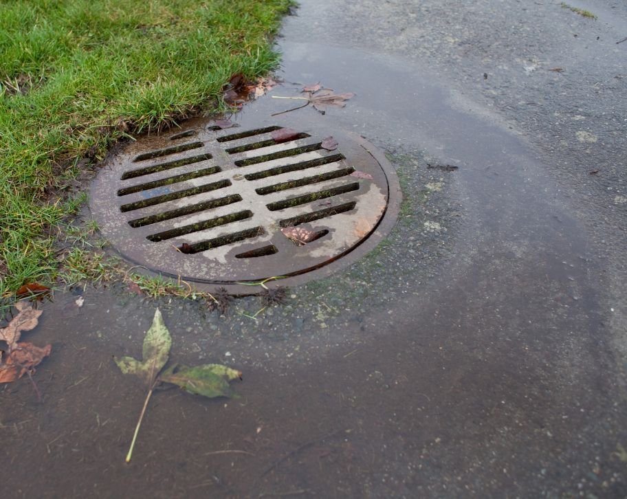 How to Fix Landscape Drainage Issues