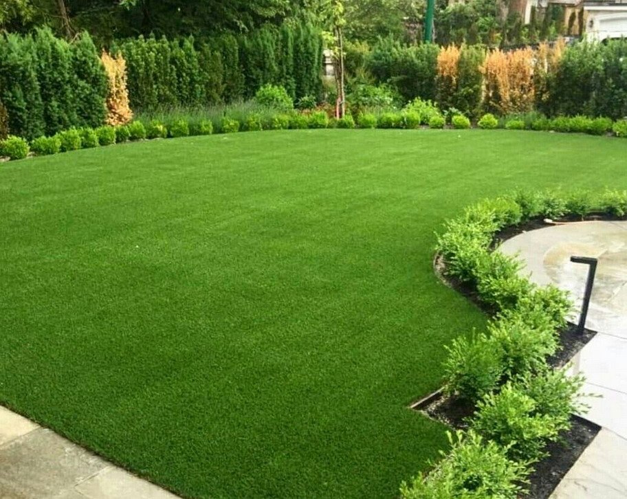 Is sod or grass seed better?
