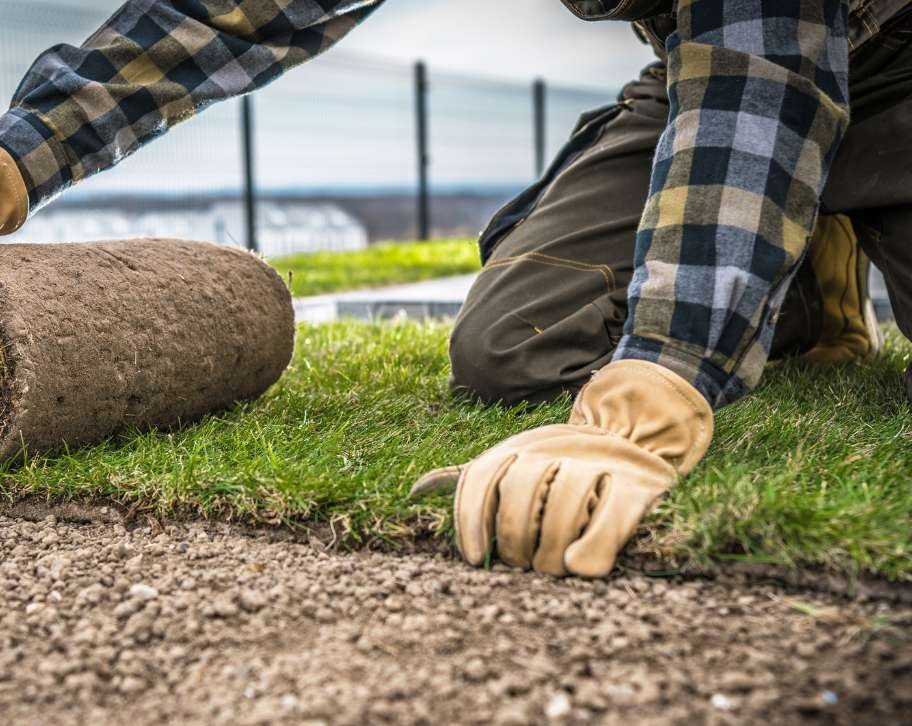 Hydroseeding vs Sod: Best Choice for Your Lawn