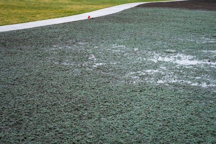 commercial slope hydroseeding fredericton