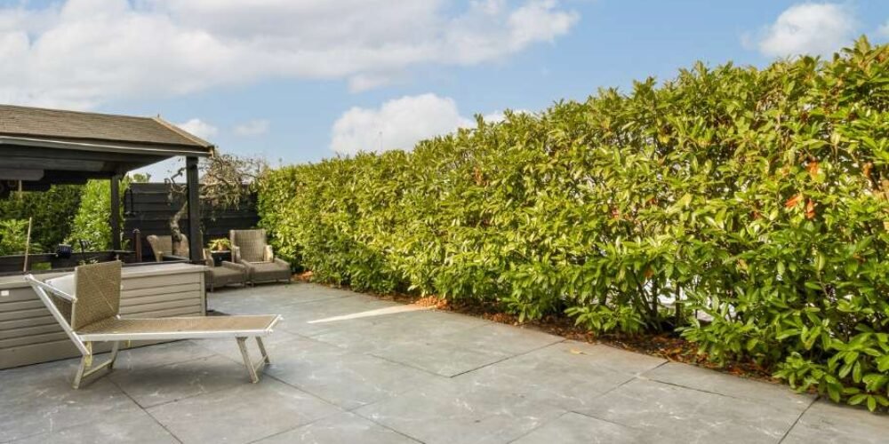 Cracked Concrete Patio: Repair vs Replace Guide