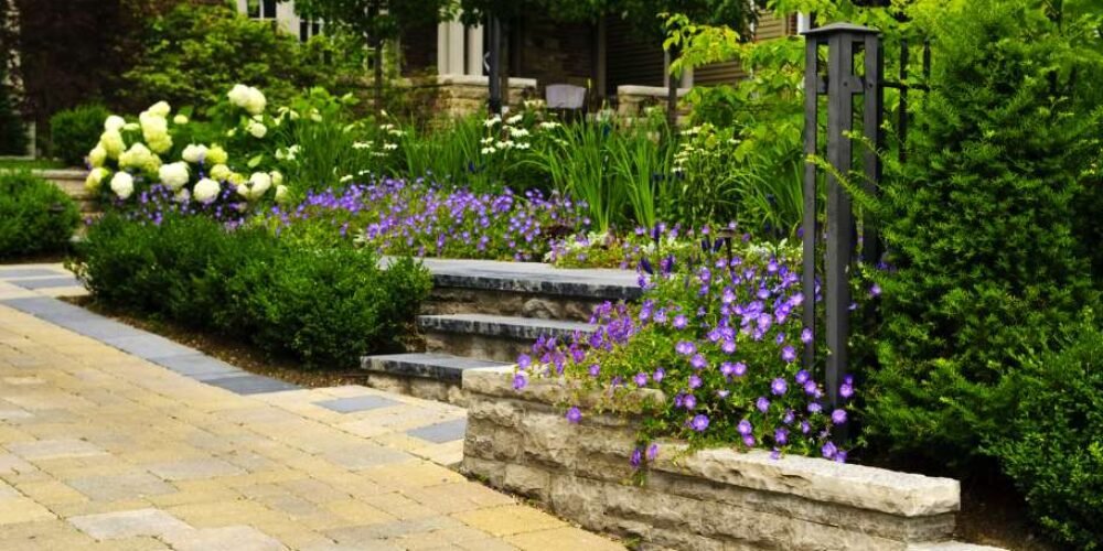 Erosion Control Landscaping Guide for Homeowners