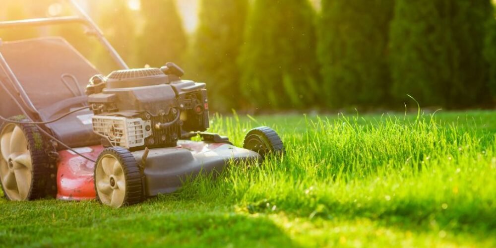 Landscaping Tips that Help Maintain the Lawn During Summer