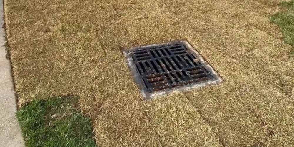 Complete guide to types of lawn drainage systems