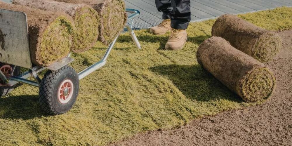 How to Properly Install Sod?