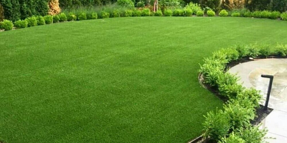 Is sod or grass seed better?