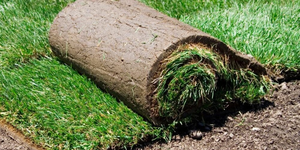 Why You Should not Install Sod Over Existing Grass?