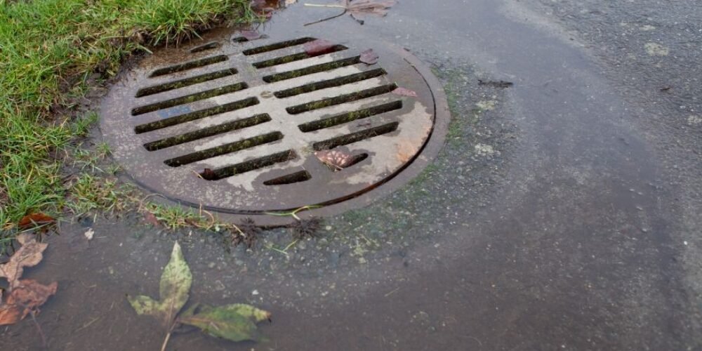 How to Fix Landscape Drainage Issues?